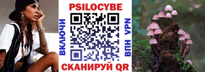 Псилоцибиновые грибы GOLDEN TEACHER  kraken ССЫЛКА  Волгоград  купить наркотики цена 